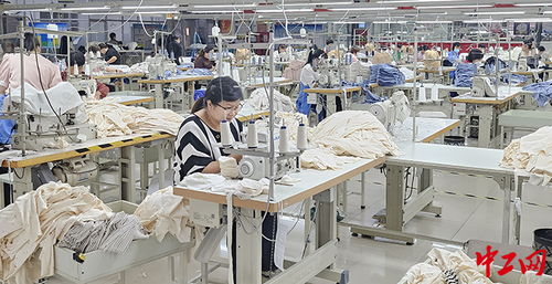 濟寧市兗州區 引項目搭橋梁，公共就業服務讓就業顧家兩不誤
